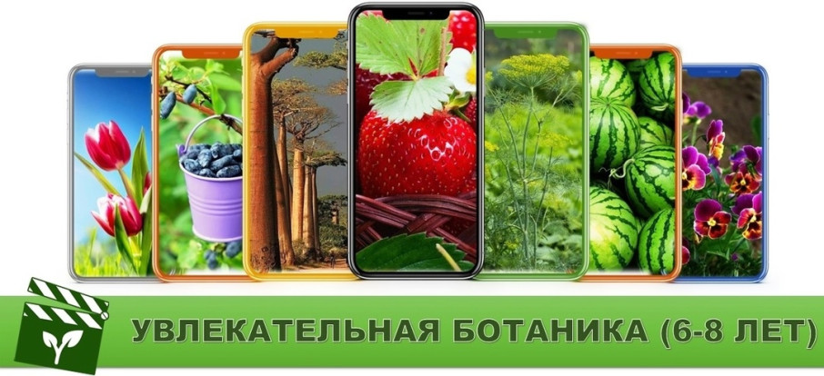 Итоги конкурса Итоги конкурса.